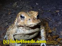 /home//u458753944/public_html/sourcegallery///////////////////////////////////////////McKaig Nature Center/2020-10-11/PA110707.JPG